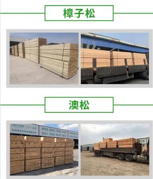 建筑用工地木方價格、建筑方木與廠家直銷全方位解析
